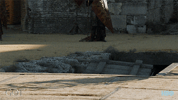 gameofthrones game of thrones hbo season 7 finale GIF