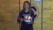 cnvb 2018cnvb GIF by Carson-Newman Athletics