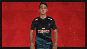 St Pauli Football GIF by Bundesliga