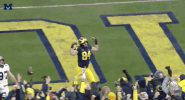 college football flyover GIF by Michigan Athletics