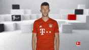 Bayern Munich Football GIF by Bundesliga