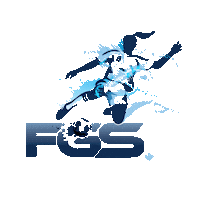03 Sticker by FutureGirlsSoccer