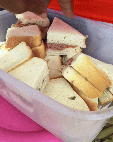 Corned Beef Sandwich GIF