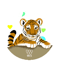 Valentines Day Love Sticker by Bronx Zoo