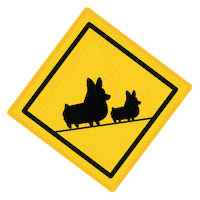 corgimoji crossing Sticker by Corgi Things