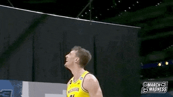 College Basketball Sport GIF by NCAA March Madness