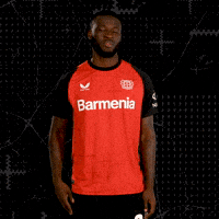 Bayer 04 Win GIF by Bayer 04 Leverkusen