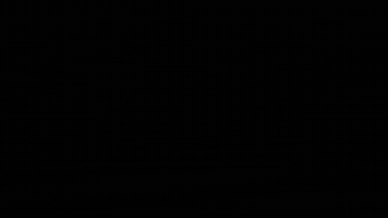 Colorful Fruit Transitions