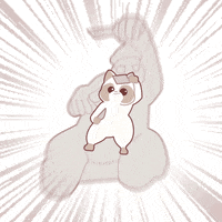 Kitchi dance knife jeju GIF