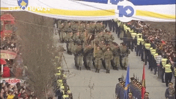 military parade GIF by euronews