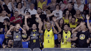 liga endesa applause GIF by ACB