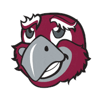 Dunno Idk Sticker by Roanoke College