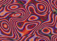 summer lol GIF by Canek