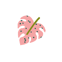 silviarossana love new flower like Sticker