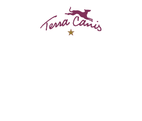 Dog Christmas Sticker by Terra Canis
