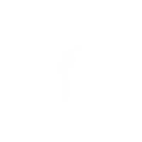 golf sgc Sticker by Suitex International