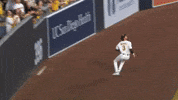 Celebrate San Diego Padres GIF by MLB