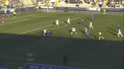 Correa GIF by Sampdoria