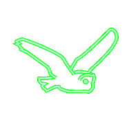 Owl Flying Sticker