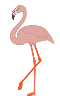 rubenverymuch dancing flamingo strut strutting Sticker