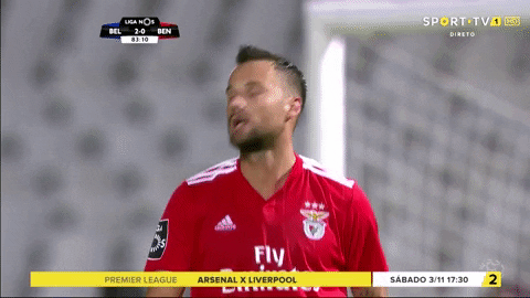 sl benfica slbgifs GIF by Sport Lisboa e Benfica