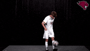 College Sports Sport GIF by CUCougars
