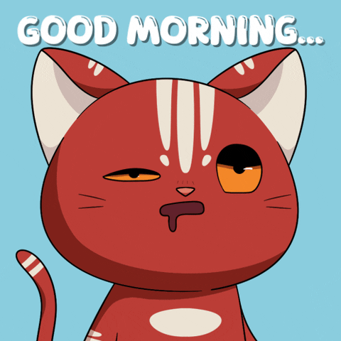 Cat Love GIF by Kitaro World