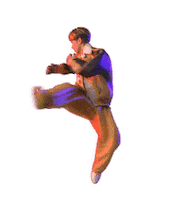 Sthk Kicking Sticker by Secret Tour Hong Kong