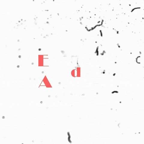 GIF by Estudio de Actores