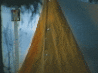 Fun Looking GIF by more love