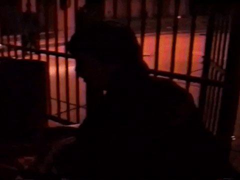 Vintage Vhs GIF by jorgemariozuleta