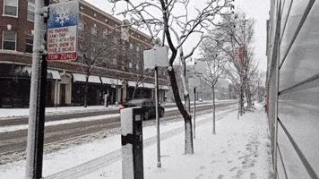 Snowstorm Slows Down Chicago