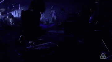 bonnaroo 2016 GIF by Bonnaroo Music and Arts Festival