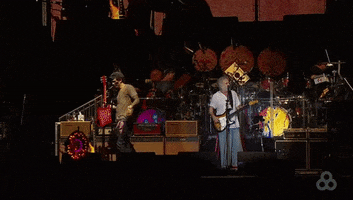 bonnaroo 2016 GIF by Bonnaroo Music and Arts Festival