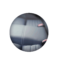 Nanoseat Sticker by Nasiol Brasil