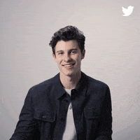 Shawn Mendes Thumbs Up GIF by Twitter