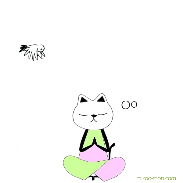 Mikoomon giphyupload cat bird yoga GIF