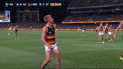 adelaidecrows goal reactions celebrations adelaide crows GIF