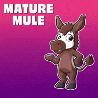 Adjust Go With The Flow GIF by VeeFriends