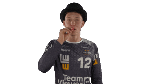 Handball-Bundesliga Party Sticker by LIQUI MOLY HBL