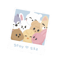 Skz Felix Sticker