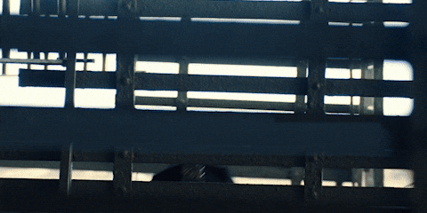 Dream Big Timothee Chalamet GIF by A24