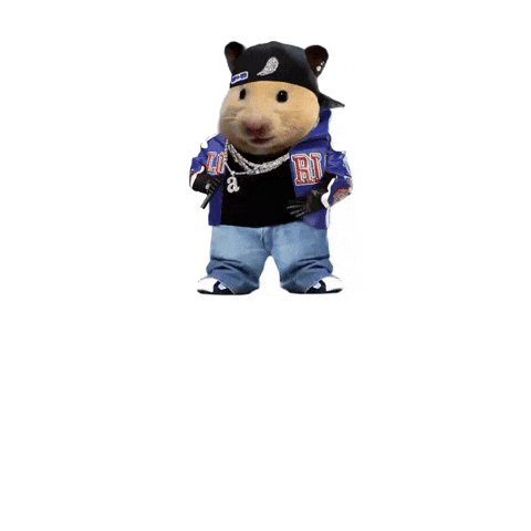 Nfl Hiphop GIF