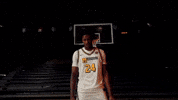 Ncaa Basketball GIF by Mizzou Athletics