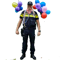 Carnaval Jack Sticker by Politie Basisteam Dongemond