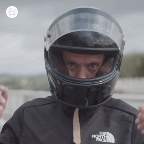 Helmet Lol GIF by World Horse Racing