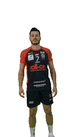 APANVOLEI giphyupload apan gif gif apan Sticker