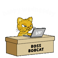 Working Wednesday Morning Sticker by VeeFriends
