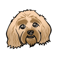 BunningsWarehouse dog new cavoodle renovations Sticker