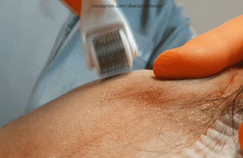 luizrenatocirigola giphyupload GIF